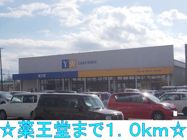 グレースＫⅡの周辺|薬王堂まで1000m