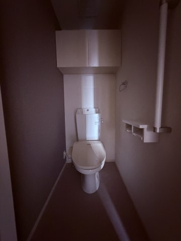 グランメゾン飛田Bのトイレ