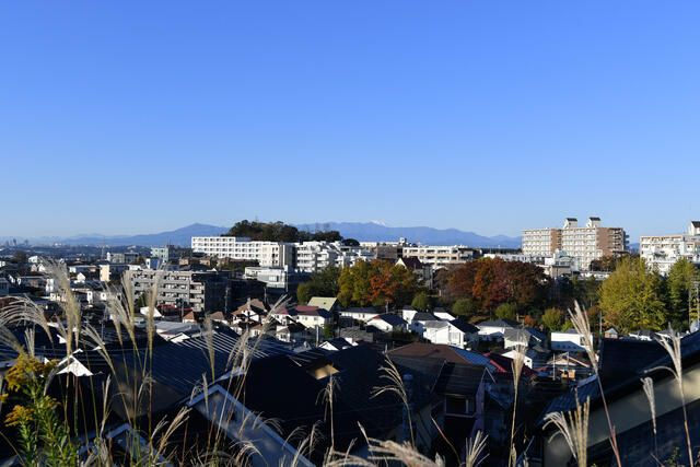 【展望】 | ラフランス百合ヶ丘