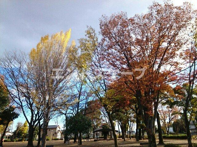 コーポラス蔵羅の周辺|くじら森公園まで120m
高崎、前橋のお部屋探しはエンドスケープまで！お客様の理想お聞かせ下さい♪