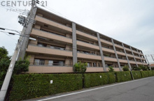 コスモ芦屋川シーサイドテラスの画像