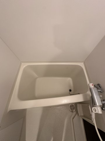 エイペックス南堀江の浴室