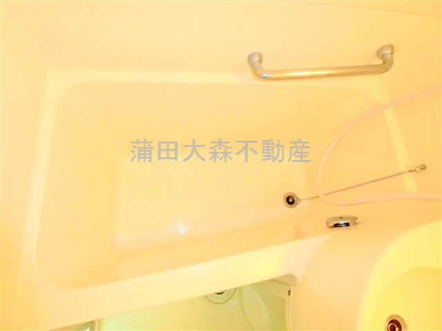 ベルサイユ池上の浴室