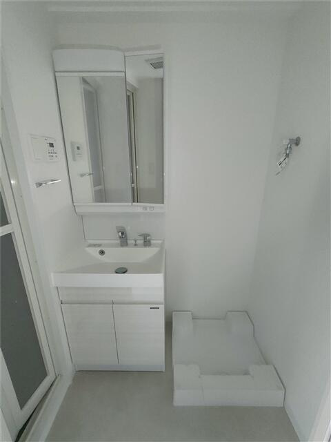 S-RESIDENCE難波大国町Tresの洗面所