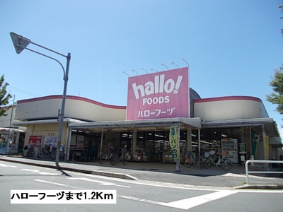 【周辺】 | バルサ　デ　Ｙ．Ｎ | ハローフーヅまで1200m