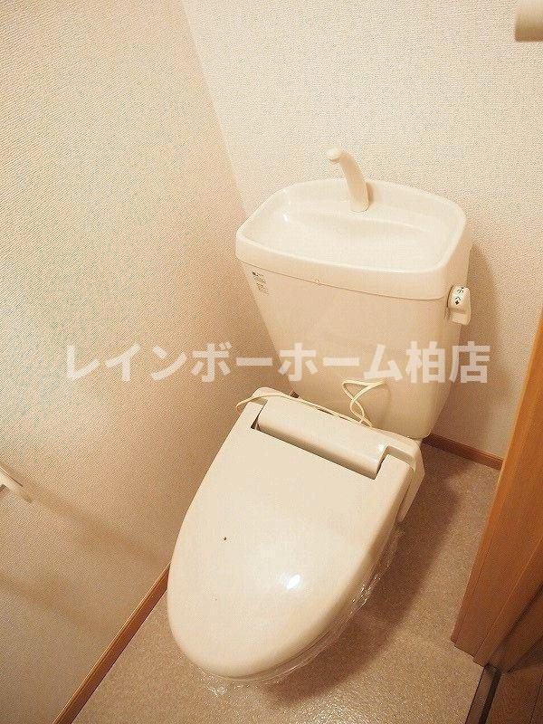 【仲介手数料：50％OFF】対象物件！のトイレ|落ち着いた色調のトイレです