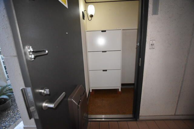 小金原第３コーポラスの玄関