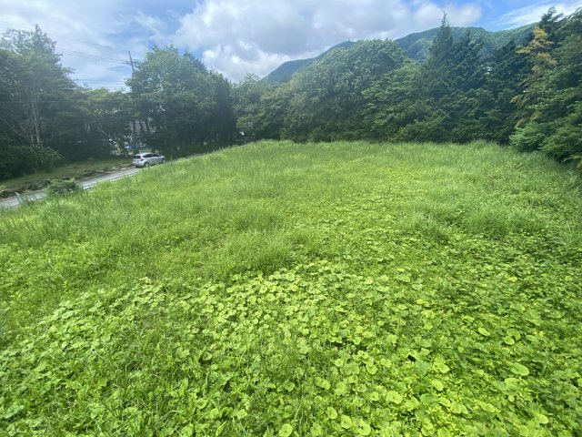 箱根仙石原 土地の周辺