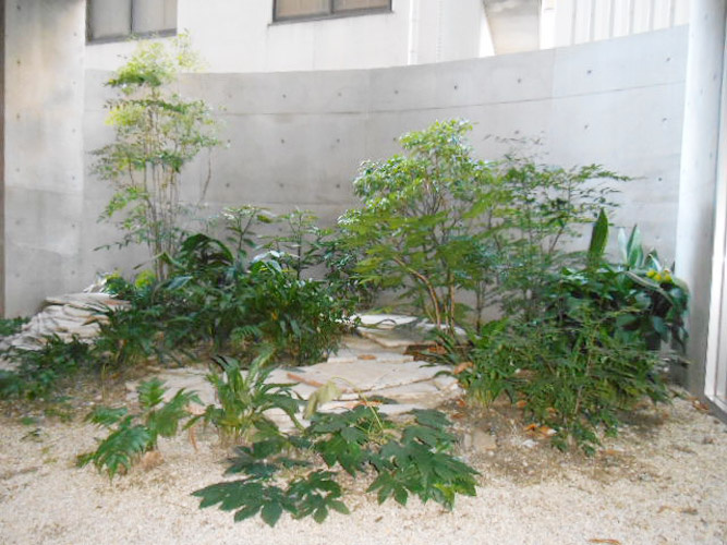 丸の内Ｔｅｒｒａｃｅ