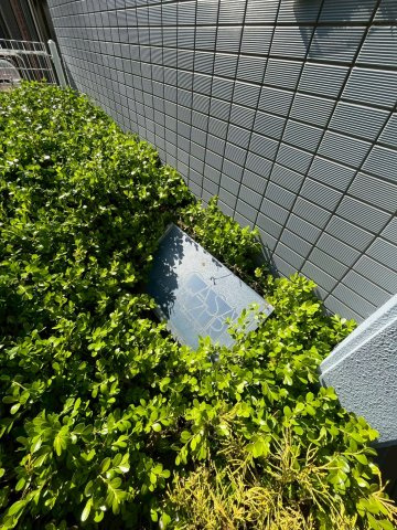 カサアスールのその他