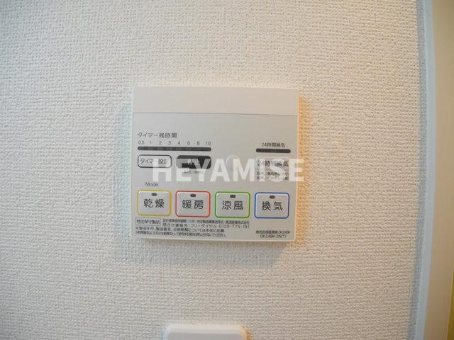 サリチェのその他