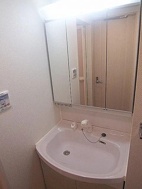 AQUA PRIME TOWER OSHIAGEの洗面所