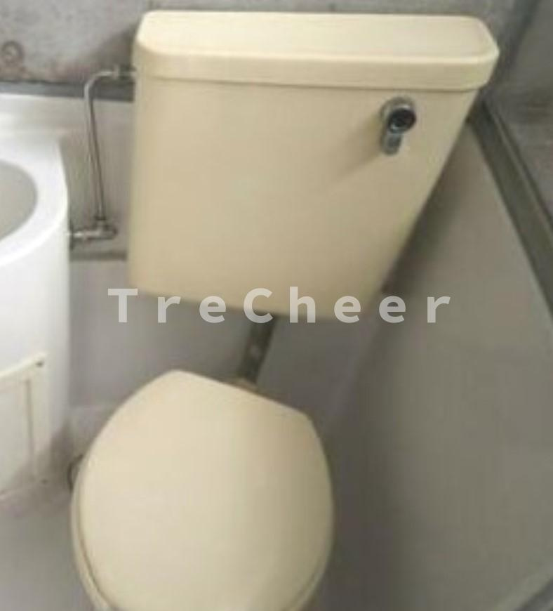 ラフィーネヤマミツのトイレ