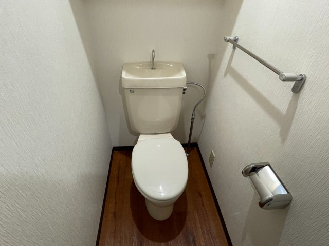 グリーンビレッジタナカのトイレ