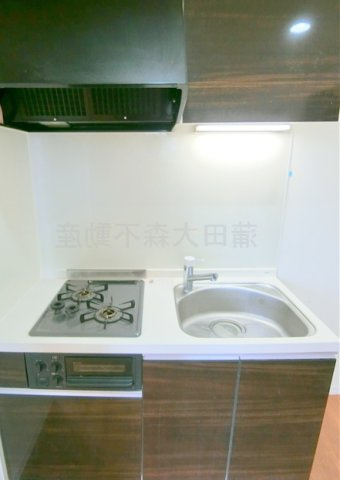 ウェルスクエア多摩川矢口のキッチン|2口ガスグリル付システムキッチン