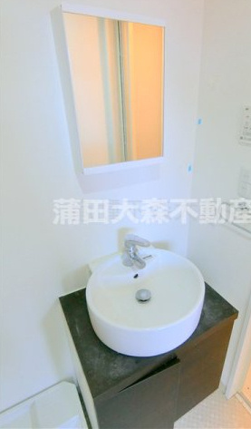 ウェルスクエア多摩川矢口の洗面所|独立洗面台