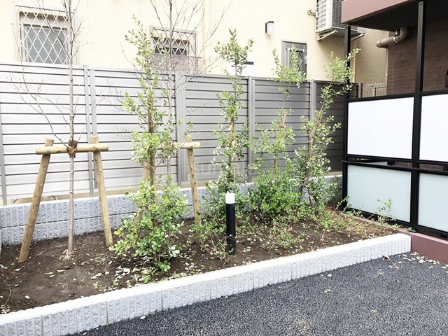 フュージョナル浮間舟渡のその他|植栽です☆彡