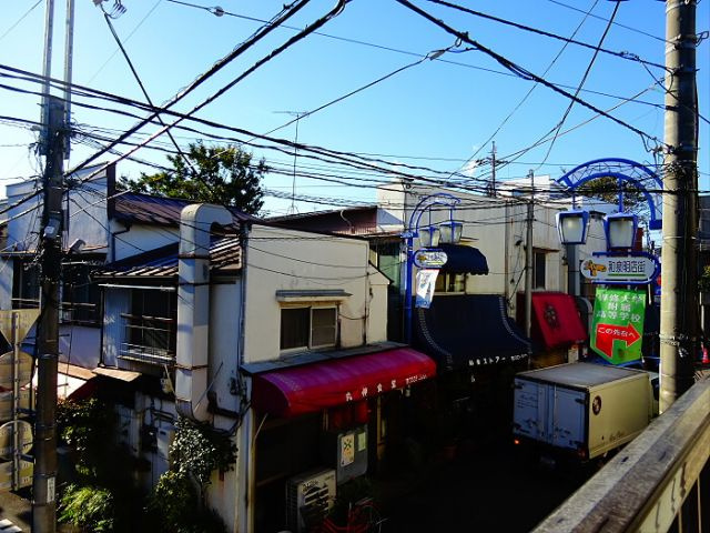 ステラの展望