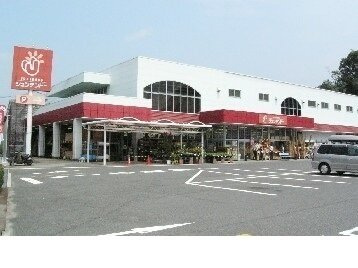 シャルム肥後Ⅱの周辺|ジュンテンドー五日市店まで900m