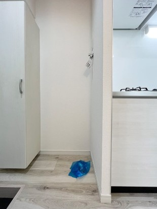 Ｒｅａｌｉｓｅｒの設備|※同施工会社別物件参考写真
