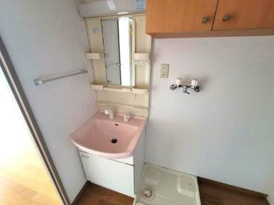 アルビオン田端の洗面所