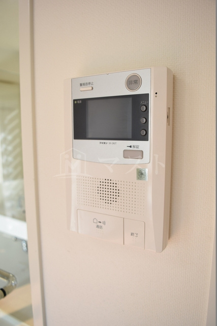 セシリア九条のセキュリティ|他号室参考写真