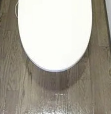サンテミリオン目白台　１階のトイレ