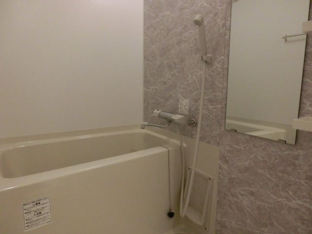 S-RESIDENCE難波Brillerの浴室