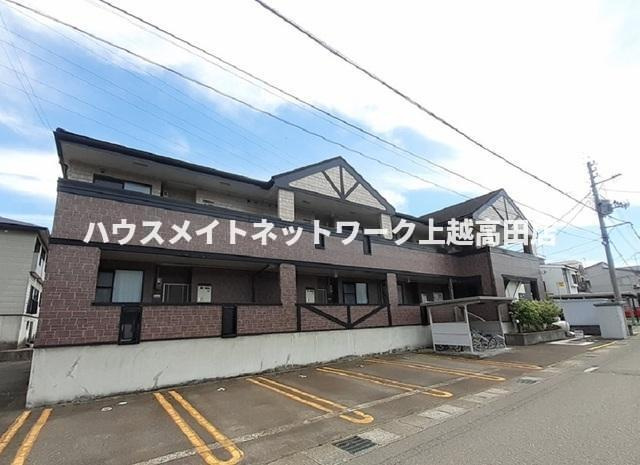プラティーノ
