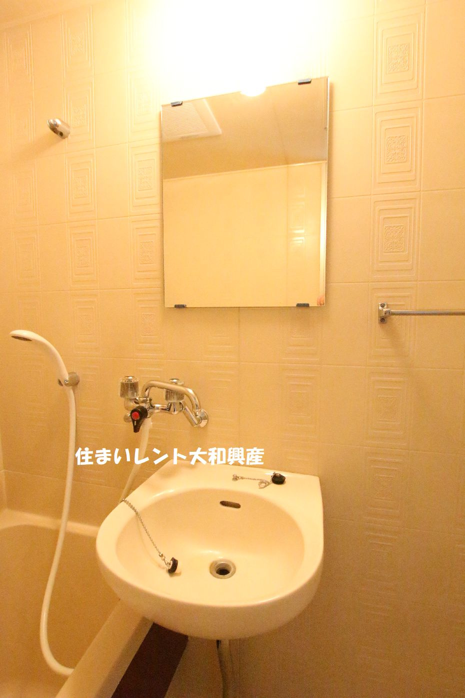 サニーハウスⅠの洗面所