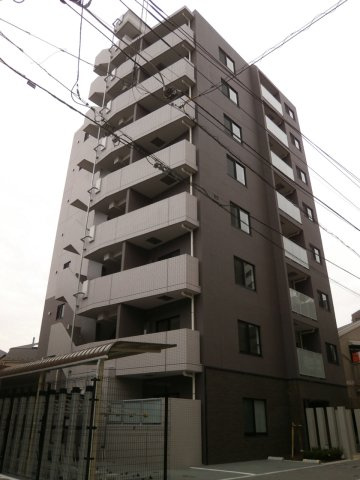 DIPS小竹向原