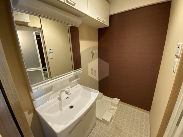 東大阪市稲田新町２丁目の賃貸マンションの洗面所