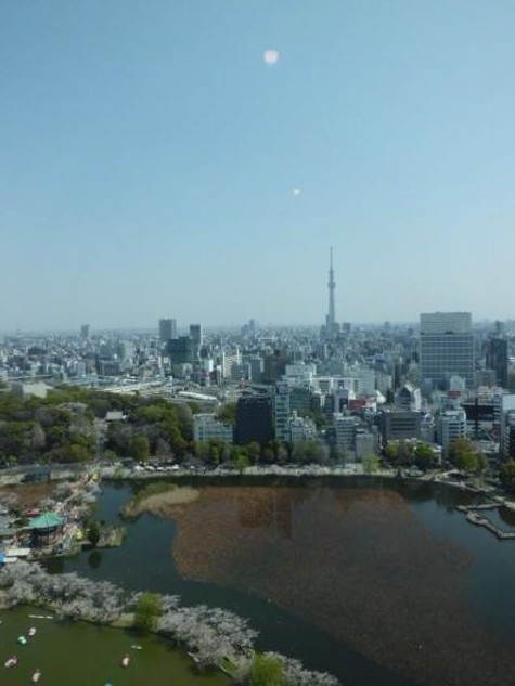 【展望】