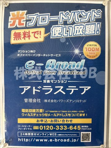 【その他】 | アドラステア