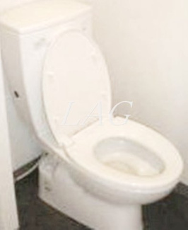 【トイレ】 | アランシア方南町 | トイレです。