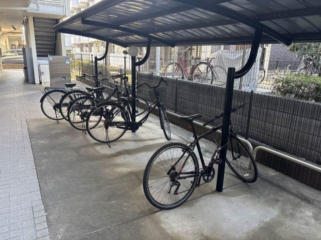 レオネクストボンボネーラのその他