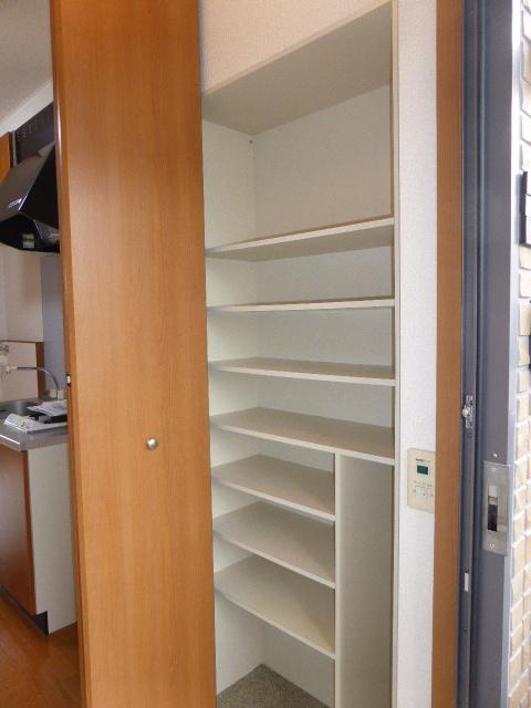 プルミエ（さいたま市南区）の玄関|収納もある玄関です