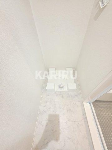 ココルトリシアのその他