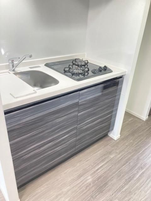 Ｓ－ＲＥＳＩＤＥＮＣＥ駒込六義園のキッチン