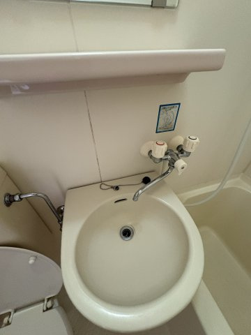 アルファ大供の洗面所