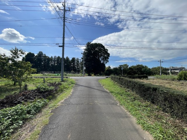 つくば市面野井　南西角地のその他|南側道路