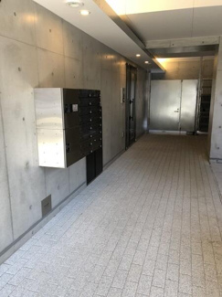 【その他】 | フェア清澄白河