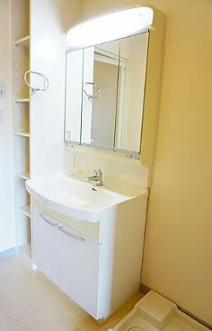 北区浮間３丁目の賃貸マンションの洗面所