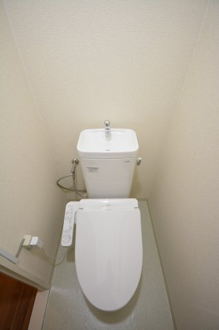 大阪市西区南堀江２丁目の賃貸マンションのトイレ