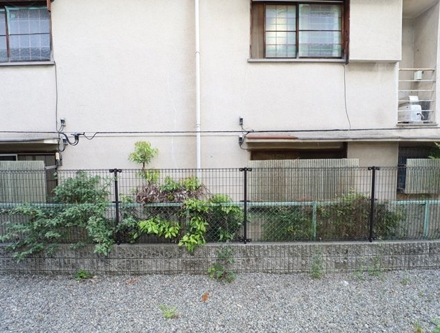 【庭】 | フェンネル千里