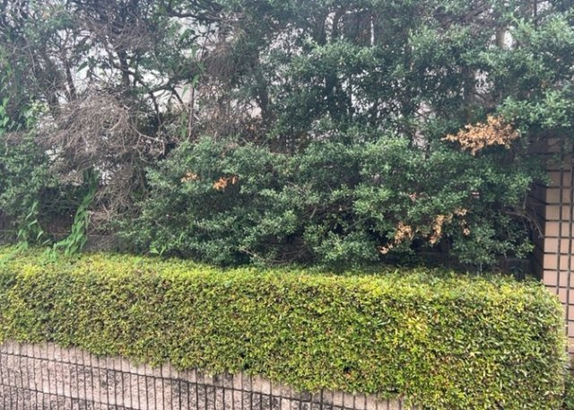 【庭】 | 庭があることでガーデニングや家庭菜園はもちろん、こどもの遊び場やペットを放して遊ぶことができます。また、家の周囲に余裕があるということです。隣地との間があれば、十分な日当たりと、風通しが確保できます。