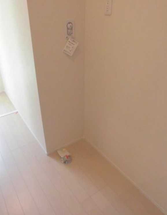 フィカーサスズキ　南向き　築浅　角部屋のその他