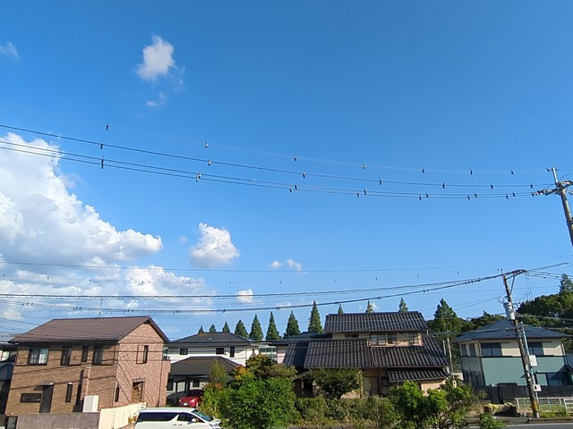 カントリーハイムむらたⅠ番館 の展望