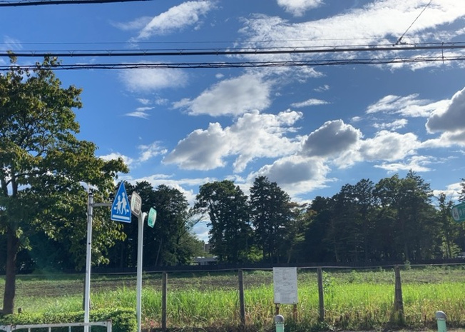 【展望】 | 眺望を気にして物件を探す場合、前面に建物が建っていないか現地で確認しましょう！前面に建物があると景色はもちろん、日当たりや風通しにも影響が出てきます。住んだ時のことを想像しながら現地見学をしましょう。