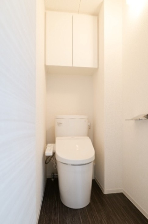 北区王子本町１丁目の賃貸マンションのトイレ|トイレ